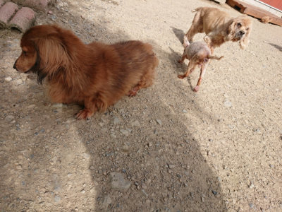 f:id:roukenhome-ann:20190808083915j:plain f:id:roukenhome-ann:20190808083915j:plain