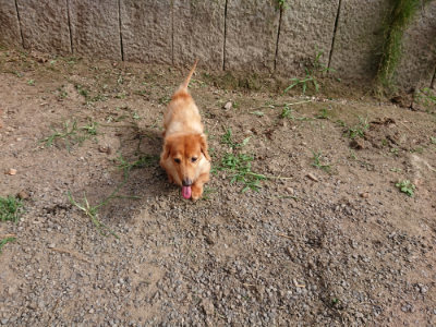 f:id:roukenhome-ann:20190808084027j:plain f:id:roukenhome-ann:20190808084027j:plain
