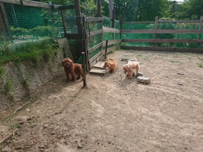 f:id:roukenhome-ann:20190808084225j:plain f:id:roukenhome-ann:20190808084225j:plain
