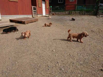 f:id:roukenhome-ann:20190808084436j:plain f:id:roukenhome-ann:20190808084436j:plain
