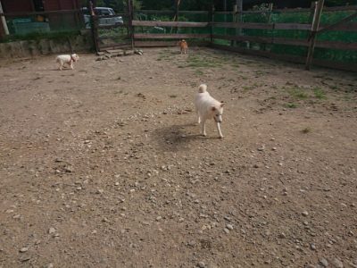 f:id:roukenhome-ann:20190808084502j:plain f:id:roukenhome-ann:20190808084502j:plain