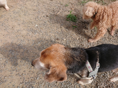 f:id:roukenhome-ann:20190808084511j:plain f:id:roukenhome-ann:20190808084511j:plain