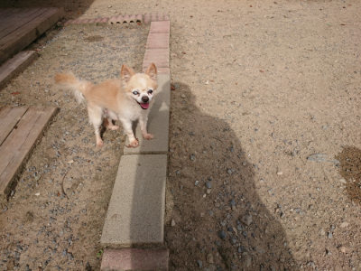 f:id:roukenhome-ann:20190808084546j:plain f:id:roukenhome-ann:20190808084546j:plain
