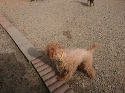 f:id:roukenhome-ann:20190808084603j:plain f:id:roukenhome-ann:20190808084603j:plain