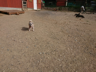 f:id:roukenhome-ann:20190808084718j:plain f:id:roukenhome-ann:20190808084718j:plain
