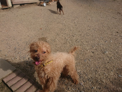 f:id:roukenhome-ann:20190808084813j:plain f:id:roukenhome-ann:20190808084813j:plain