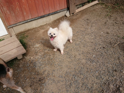 f:id:roukenhome-ann:20190808084841j:plain f:id:roukenhome-ann:20190808084841j:plain