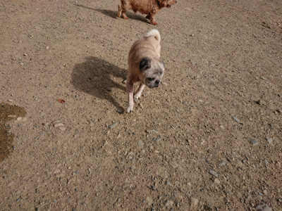 f:id:roukenhome-ann:20190808084913j:plain f:id:roukenhome-ann:20190808084913j:plain