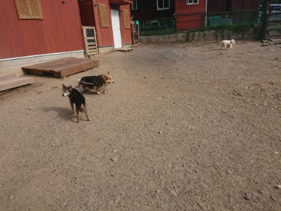 f:id:roukenhome-ann:20190808085020j:plain f:id:roukenhome-ann:20190808085020j:plain