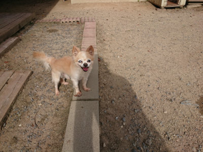 f:id:roukenhome-ann:20190808085100j:plain f:id:roukenhome-ann:20190808085100j:plain