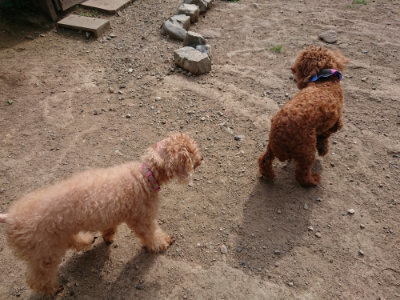f:id:roukenhome-ann:20190808102143j:plain f:id:roukenhome-ann:20190808102143j:plain