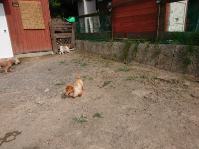 f:id:roukenhome-ann:20190808102153j:plain f:id:roukenhome-ann:20190808102153j:plain