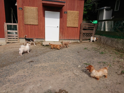 f:id:roukenhome-ann:20190808102320j:plain f:id:roukenhome-ann:20190808102320j:plain