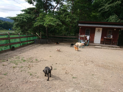 f:id:roukenhome-ann:20190808102349j:plain f:id:roukenhome-ann:20190808102349j:plain