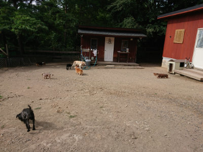 f:id:roukenhome-ann:20190808102446j:plain f:id:roukenhome-ann:20190808102446j:plain