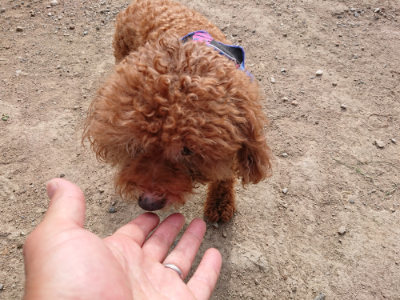 f:id:roukenhome-ann:20190808102559j:plain f:id:roukenhome-ann:20190808102559j:plain