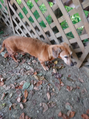 f:id:roukenhome-ann:20190808103245j:plain f:id:roukenhome-ann:20190808103245j:plain