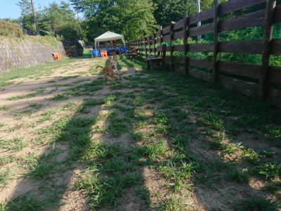 f:id:roukenhome-ann:20190808105432j:plain f:id:roukenhome-ann:20190808105432j:plain