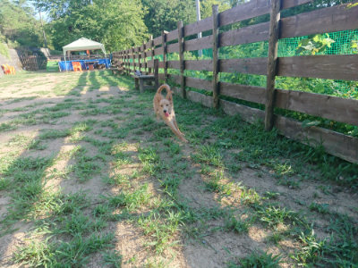 f:id:roukenhome-ann:20190808105530j:plain f:id:roukenhome-ann:20190808105530j:plain