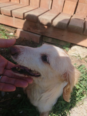 f:id:roukenhome-ann:20190808105811j:plain f:id:roukenhome-ann:20190808105811j:plain
