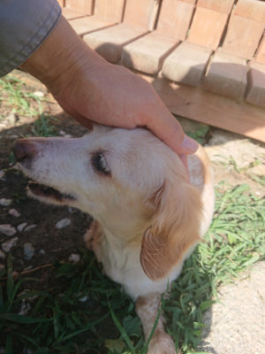 f:id:roukenhome-ann:20190808105815j:plain f:id:roukenhome-ann:20190808105815j:plain