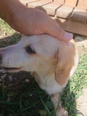 f:id:roukenhome-ann:20190808105933j:plain f:id:roukenhome-ann:20190808105933j:plain