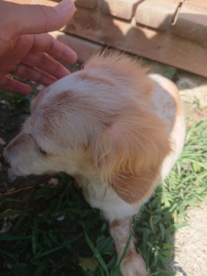 f:id:roukenhome-ann:20190808110055j:plain f:id:roukenhome-ann:20190808110055j:plain