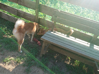 f:id:roukenhome-ann:20190808110821j:plain f:id:roukenhome-ann:20190808110821j:plain