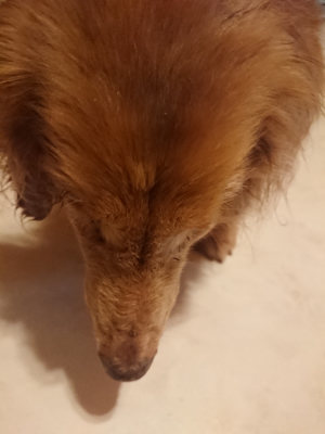 f:id:roukenhome-ann:20190808110924j:plain f:id:roukenhome-ann:20190808110924j:plain