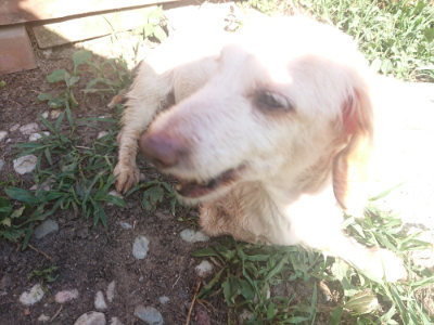 f:id:roukenhome-ann:20190808111313j:plain f:id:roukenhome-ann:20190808111313j:plain