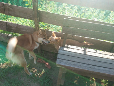 f:id:roukenhome-ann:20190808111356j:plain f:id:roukenhome-ann:20190808111356j:plain