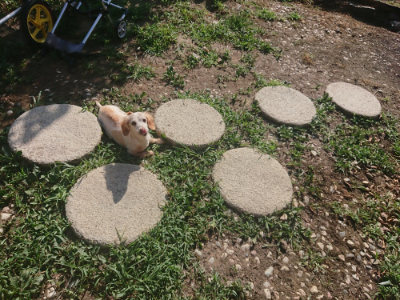 f:id:roukenhome-ann:20190808111647j:plain f:id:roukenhome-ann:20190808111647j:plain