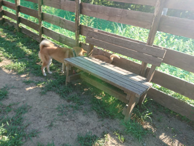 f:id:roukenhome-ann:20190808111706j:plain f:id:roukenhome-ann:20190808111706j:plain