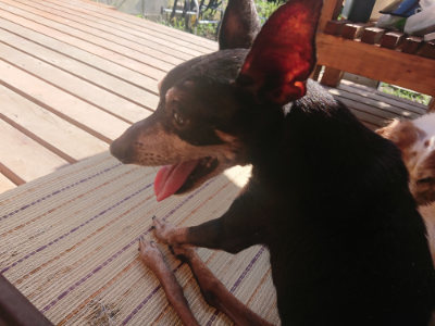 f:id:roukenhome-ann:20190808111945j:plain f:id:roukenhome-ann:20190808111945j:plain