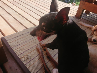 f:id:roukenhome-ann:20190808112101j:plain f:id:roukenhome-ann:20190808112101j:plain