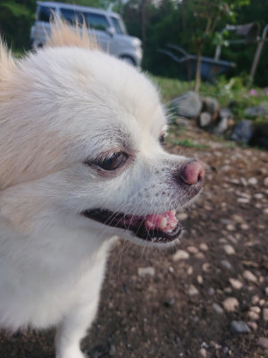 f:id:roukenhome-ann:20190808113301j:plain f:id:roukenhome-ann:20190808113301j:plain