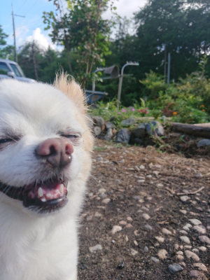 f:id:roukenhome-ann:20190808113321j:plain f:id:roukenhome-ann:20190808113321j:plain