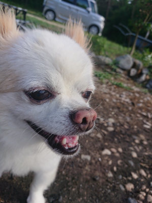 f:id:roukenhome-ann:20190808113322j:plain f:id:roukenhome-ann:20190808113322j:plain