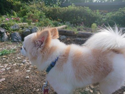 f:id:roukenhome-ann:20190808113333j:plain f:id:roukenhome-ann:20190808113333j:plain