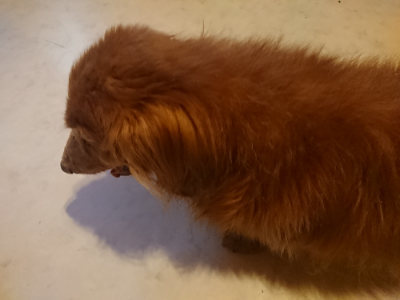 f:id:roukenhome-ann:20190808115156j:plain f:id:roukenhome-ann:20190808115156j:plain