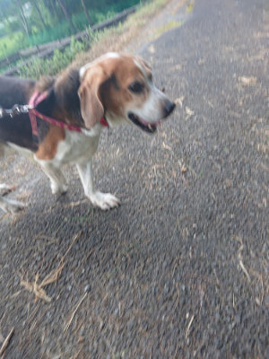f:id:roukenhome-ann:20190808115330j:plain f:id:roukenhome-ann:20190808115330j:plain