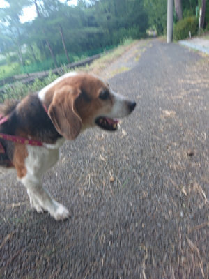f:id:roukenhome-ann:20190808115339j:plain f:id:roukenhome-ann:20190808115339j:plain