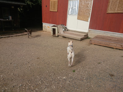 f:id:roukenhome-ann:20190808115811j:plain f:id:roukenhome-ann:20190808115811j:plain