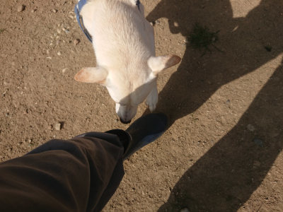 f:id:roukenhome-ann:20190808115843j:plain f:id:roukenhome-ann:20190808115843j:plain