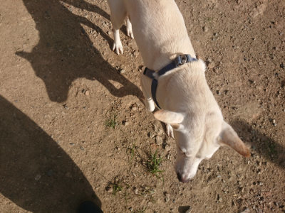 f:id:roukenhome-ann:20190808120031j:plain f:id:roukenhome-ann:20190808120031j:plain