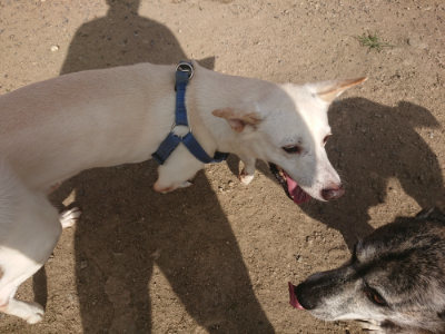 f:id:roukenhome-ann:20190808120126j:plain f:id:roukenhome-ann:20190808120126j:plain