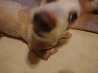 f:id:roukenhome-ann:20190808133150j:plain