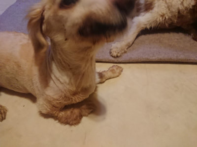 f:id:roukenhome-ann:20190808133202j:plain