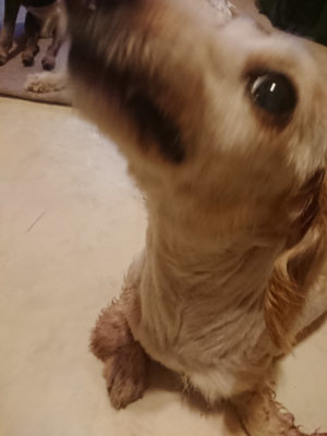 f:id:roukenhome-ann:20190808133210j:plain