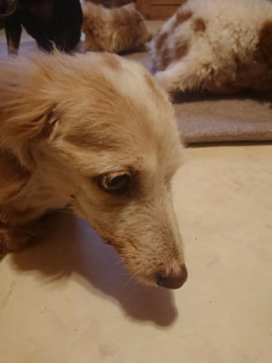 f:id:roukenhome-ann:20190808133224j:plain
